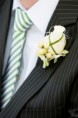 /album/fotogalerie/hochzeit-50-jpg/